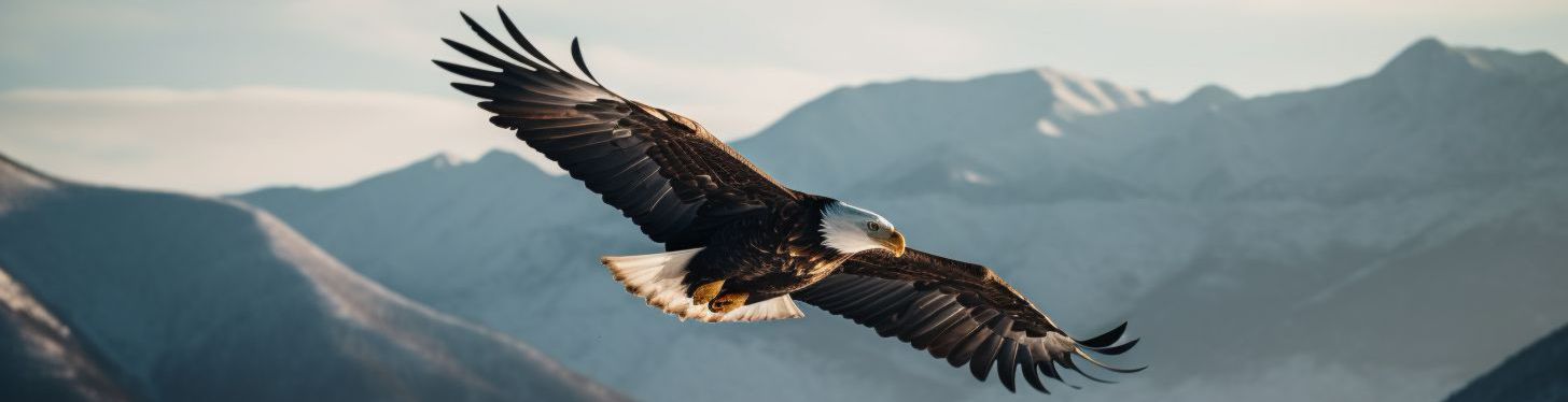 Adler